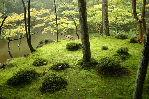 kyoto-kokedera